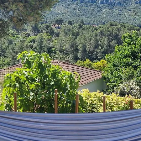 Independante Avec Terrasse Privative
